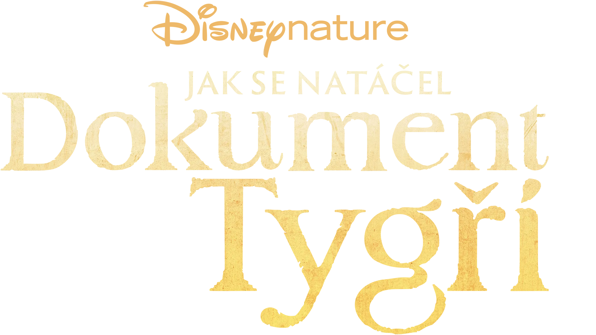 Jak se natáčel dokument Tygři