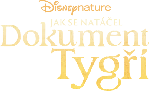 Jak se natáčel dokument Tygři