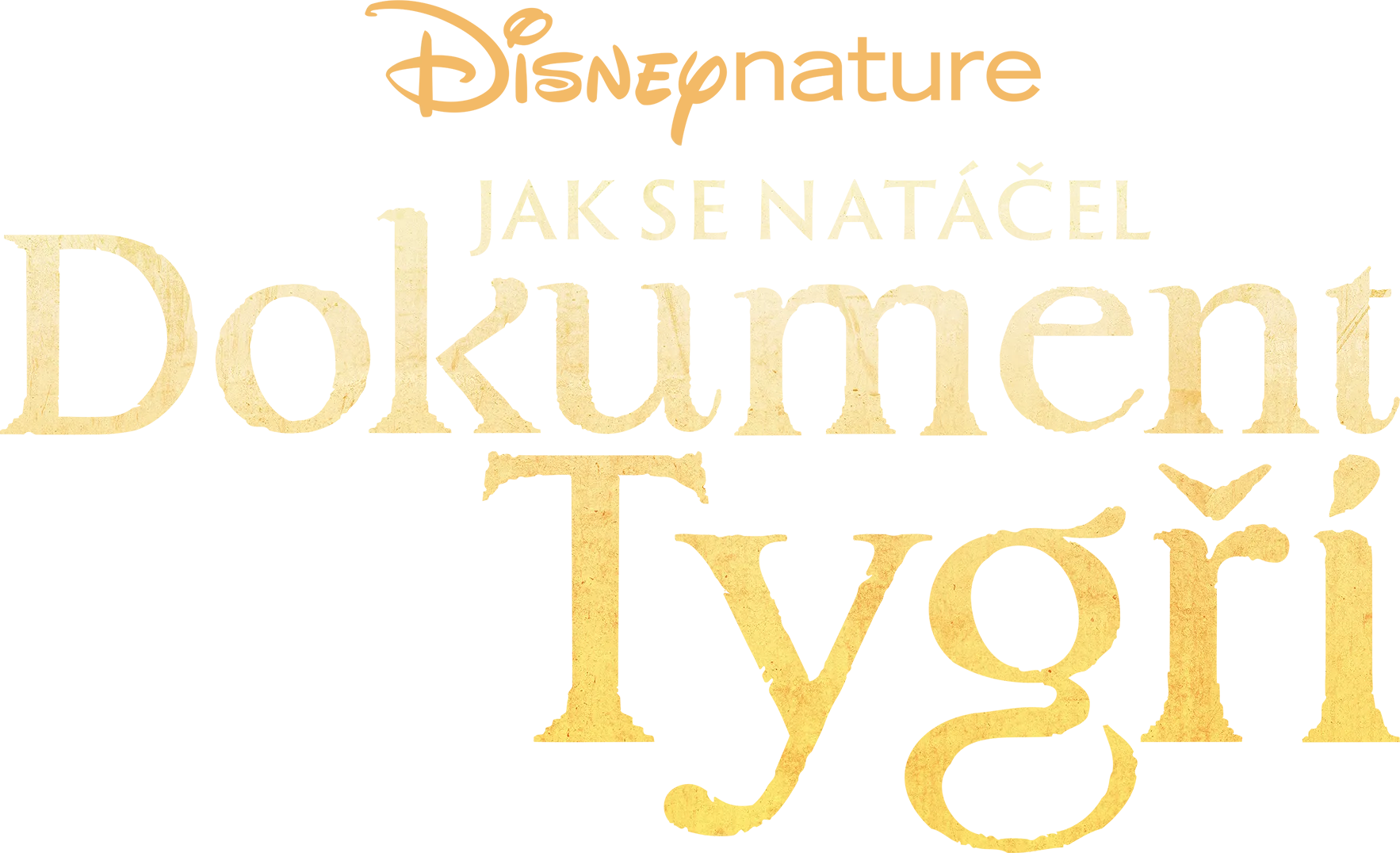 Jak se natáčel dokument Tygři