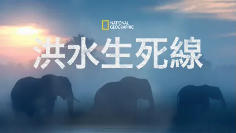 thumbnail - 洪水生死線