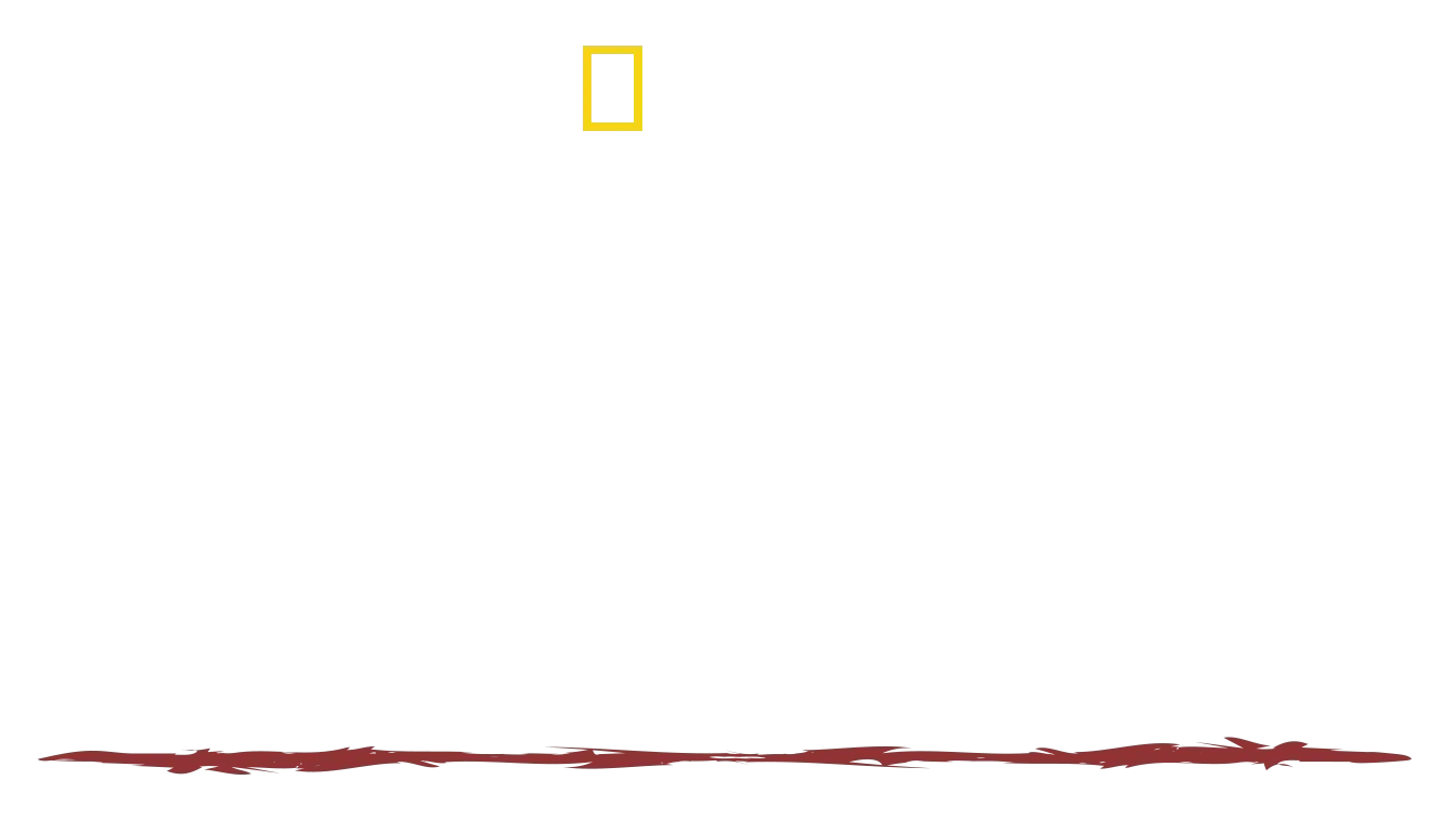 Sobrevivente Primitivo com Hazen Audel