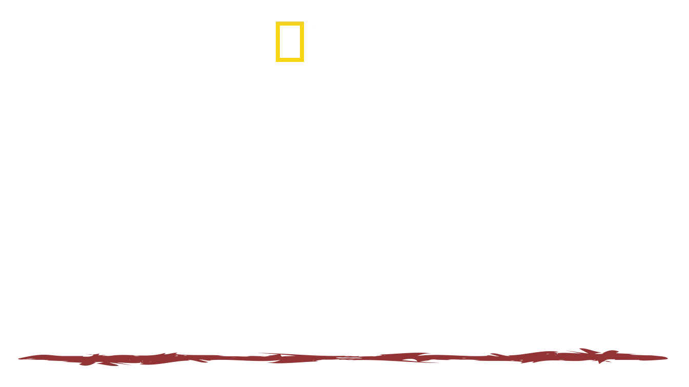 Sobrevivente Primitivo com Hazen Audel