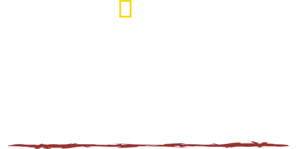 Sobrevivente Primitivo com Hazen Audel