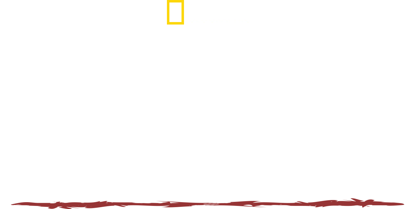Sobrevivente Primitivo com Hazen Audel