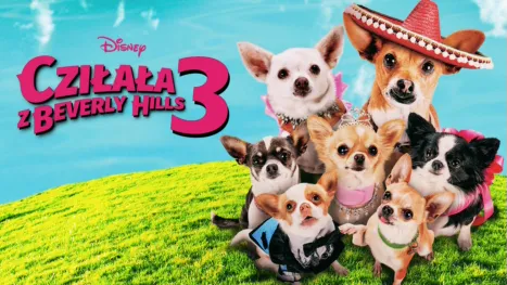 thumbnail - Cziłała z Beverly Hills 3