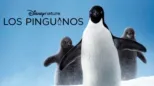 thumbnail - Los pinguinos