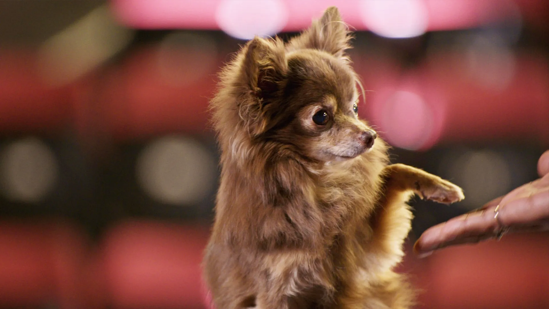 thumbnail - S1:E4 The Reason We Dance
