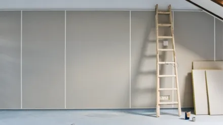 House Hunters Renovation