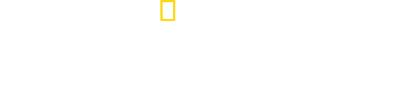 Arctic Ascent with Alex Honnold