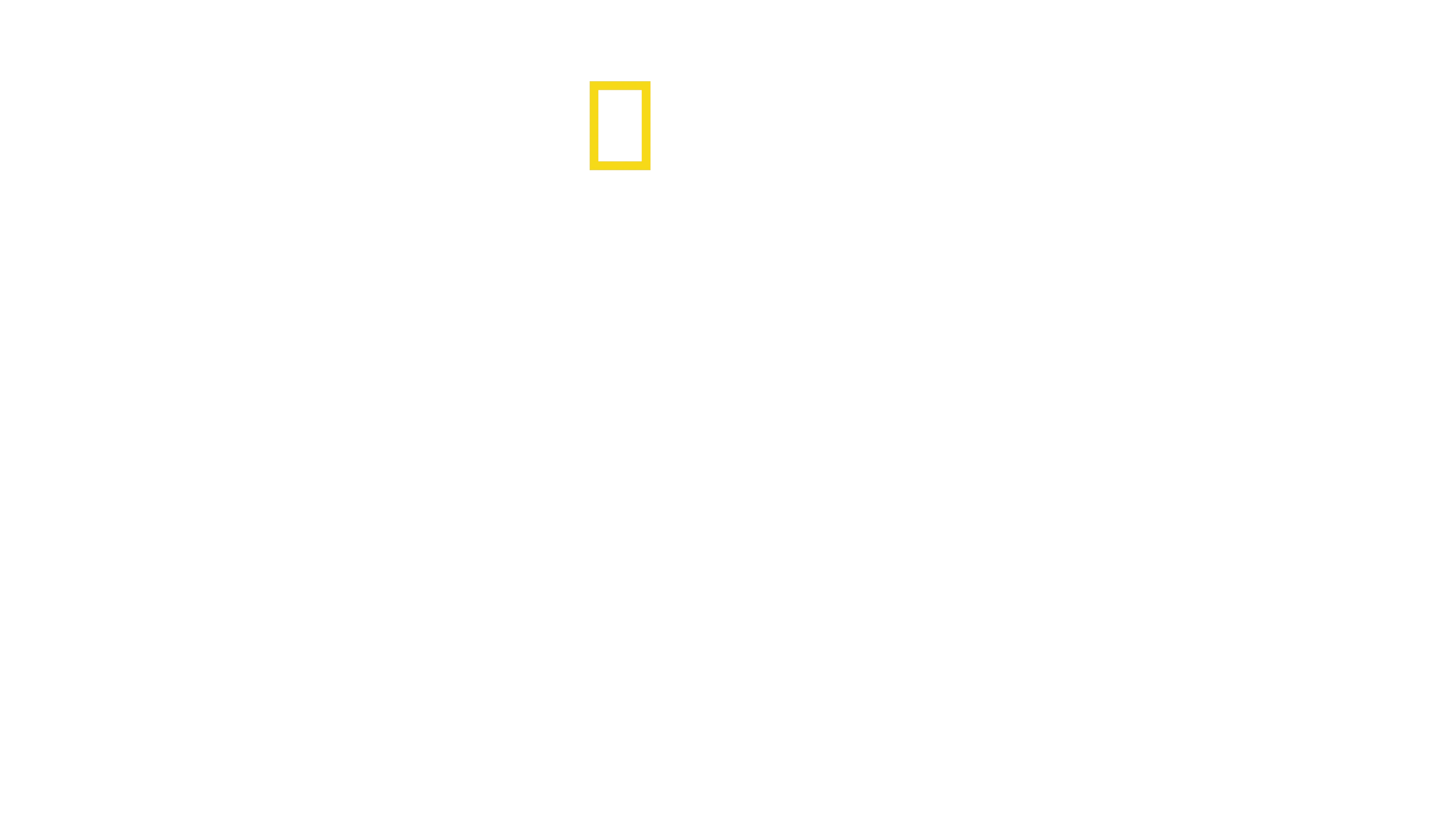 Lintujen planeetta