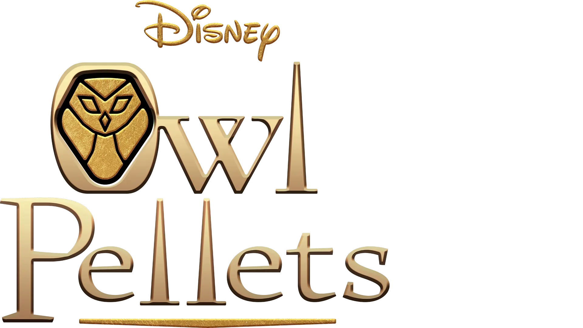 Owl Pellets