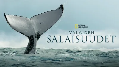 Valaiden salaisuudet