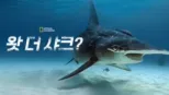 thumbnail - 왓 더 샤크?