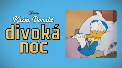 thumbnail - Divoká noc