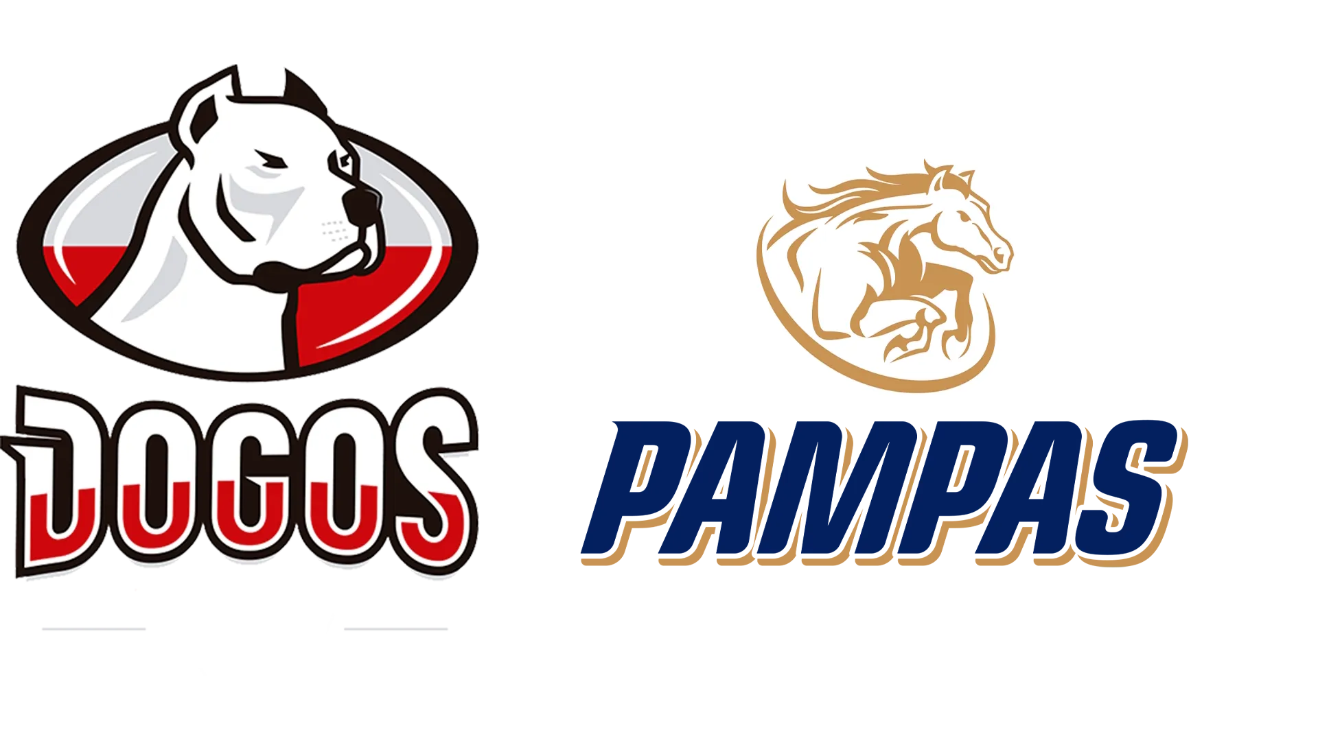 Dogos XV vs. Pampas XV