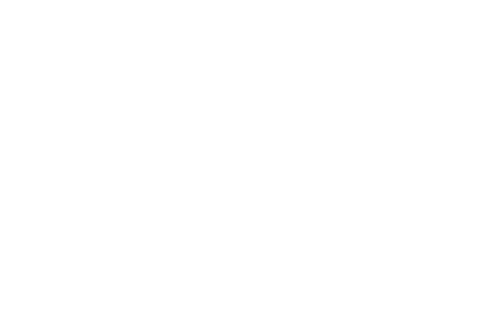 올빼미