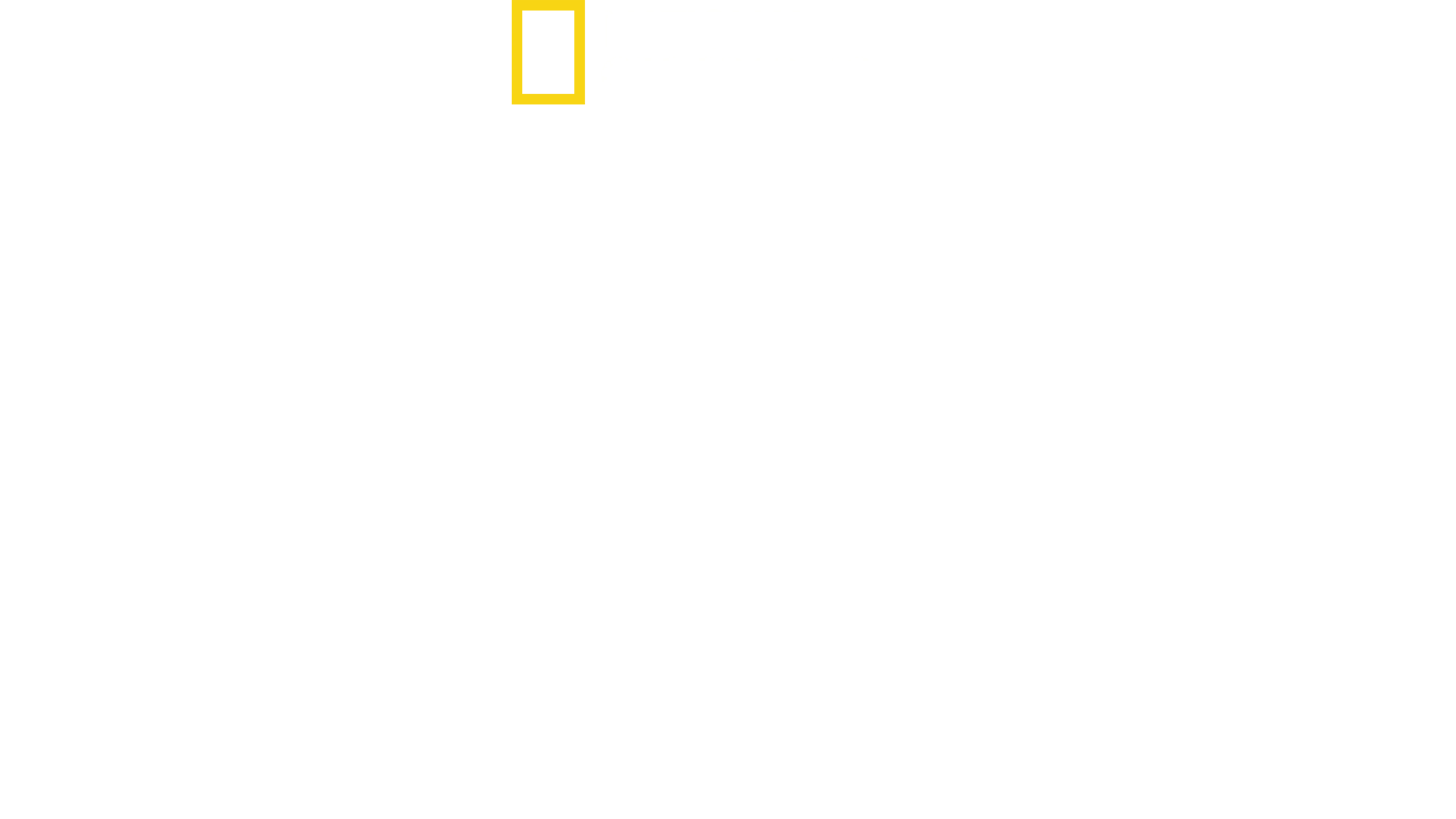Tiburones de Maui