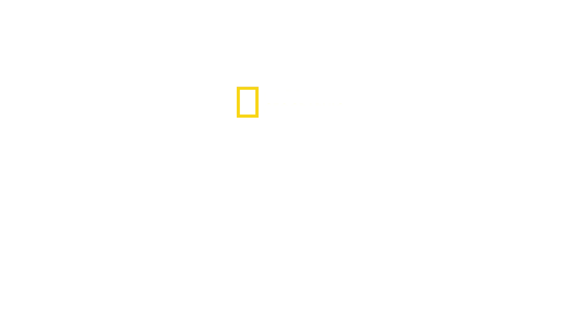 Los tiburones más temibles