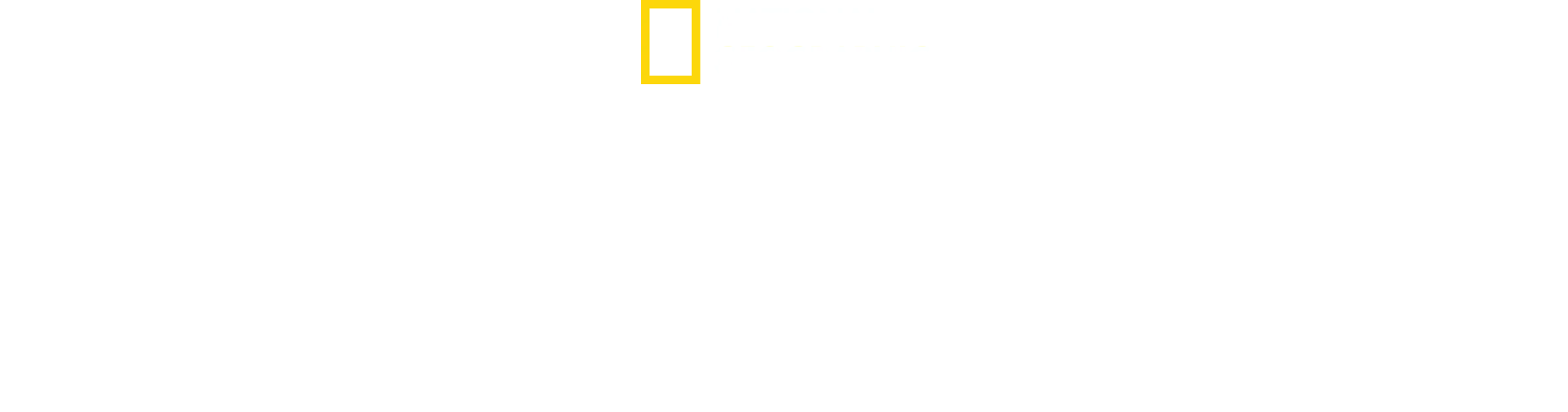 Los tiburones más temibles
