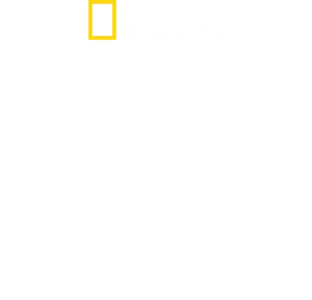 賣牛奶的獸醫