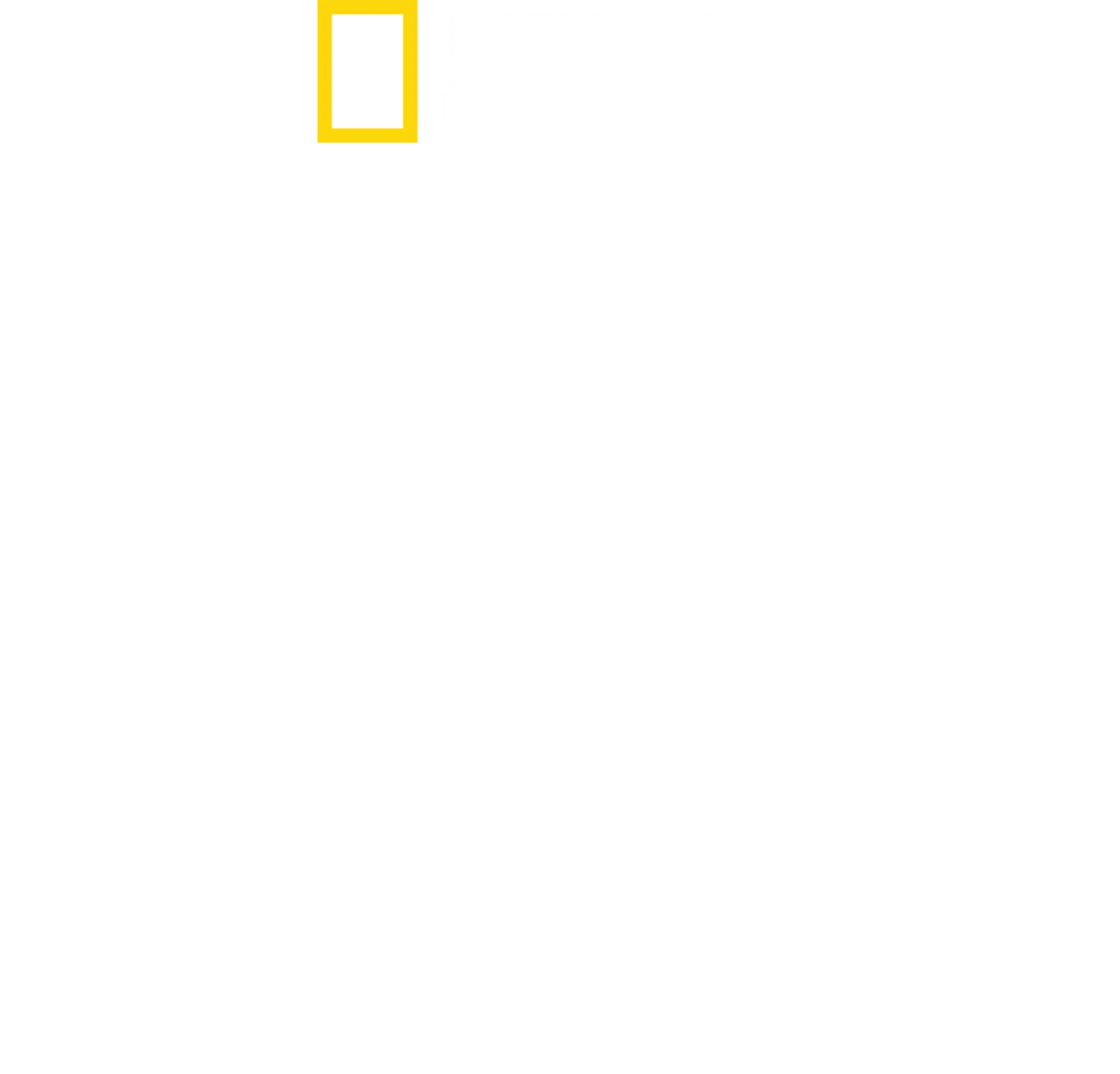 賣牛奶的獸醫