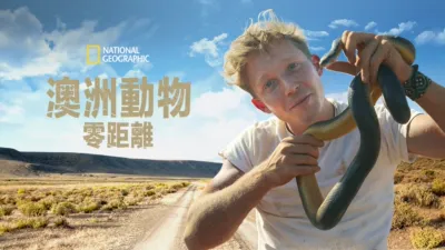 澳洲動物零距離