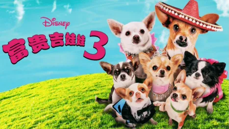 thumbnail - 富贵吉娃娃3