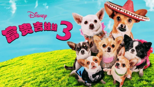 thumbnail - 富贵吉娃娃3