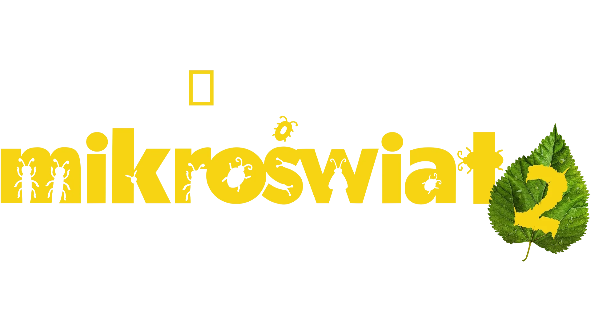 Mikroświat