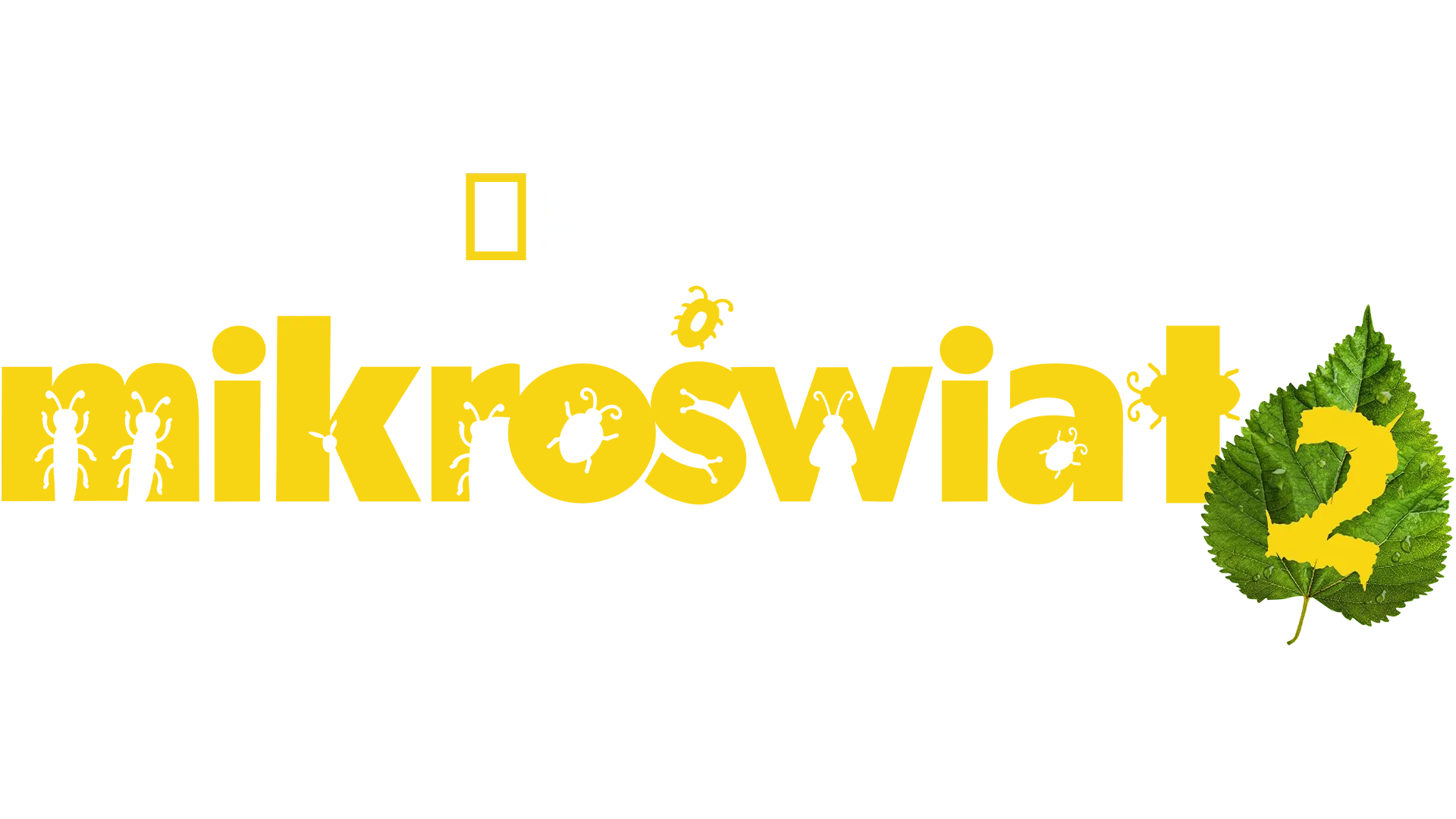 Mikroświat