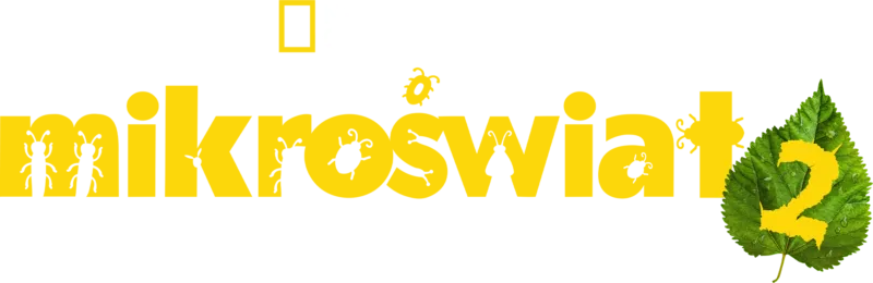 Mikroświat