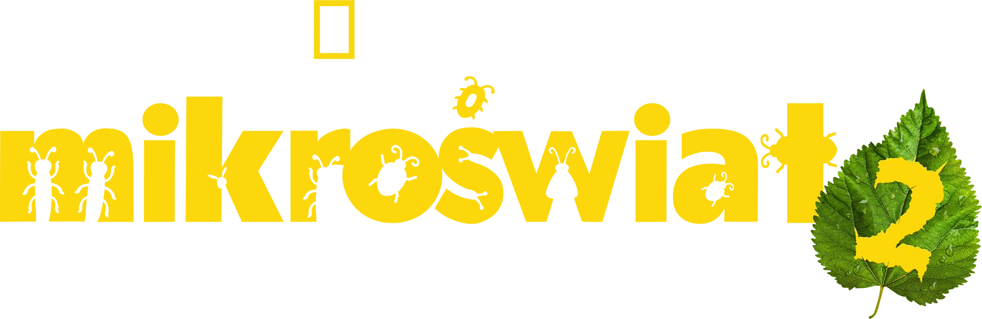 Mikroświat