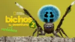 thumbnail - Bichos: La verdadera aventura