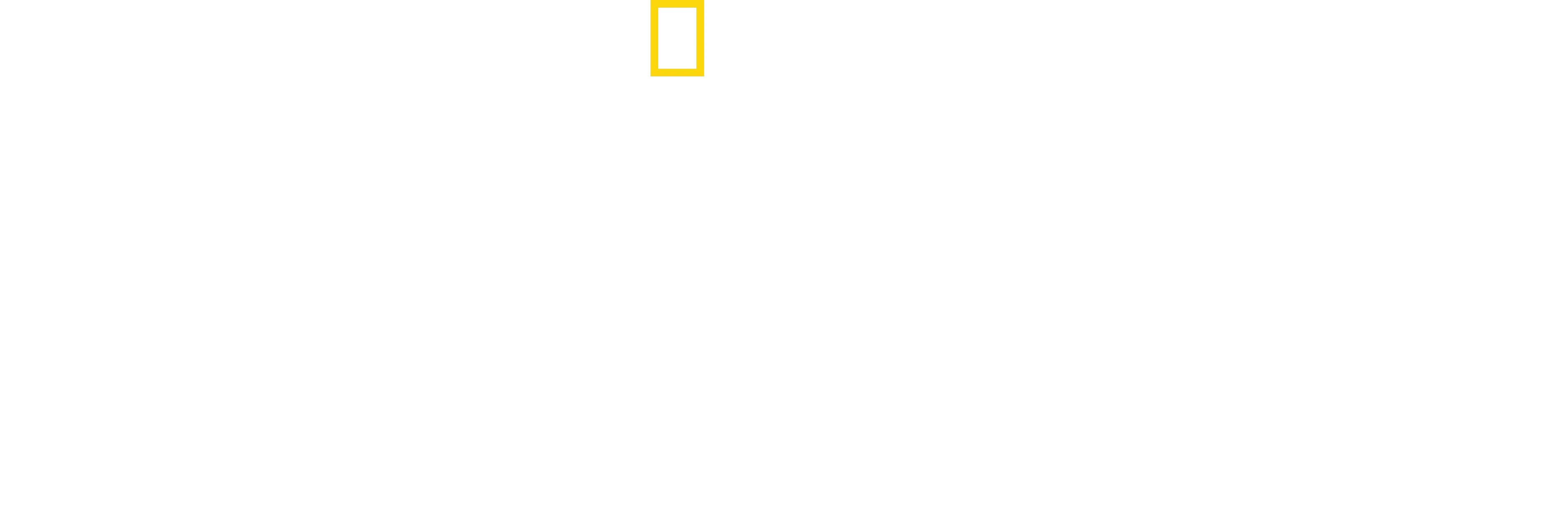 Un hombre entre guepardos