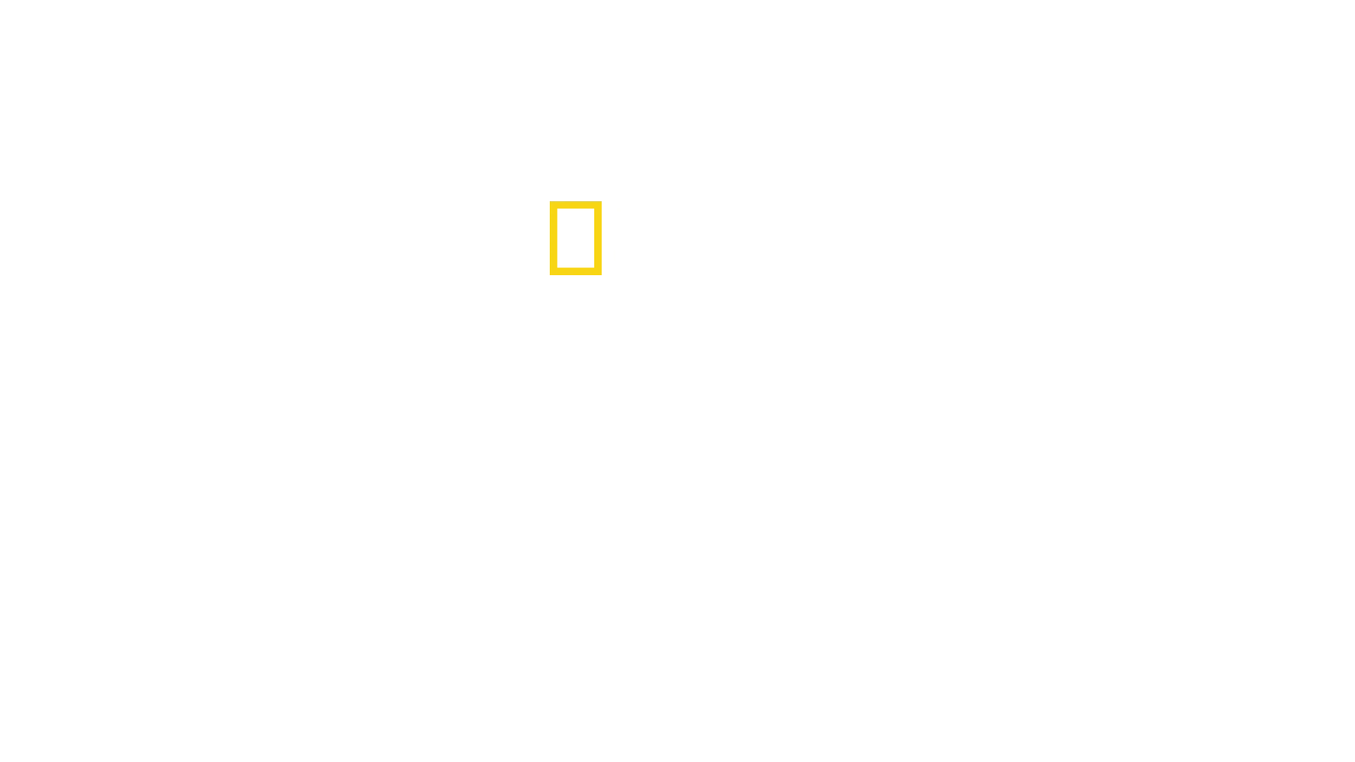 Orche Vs Squali