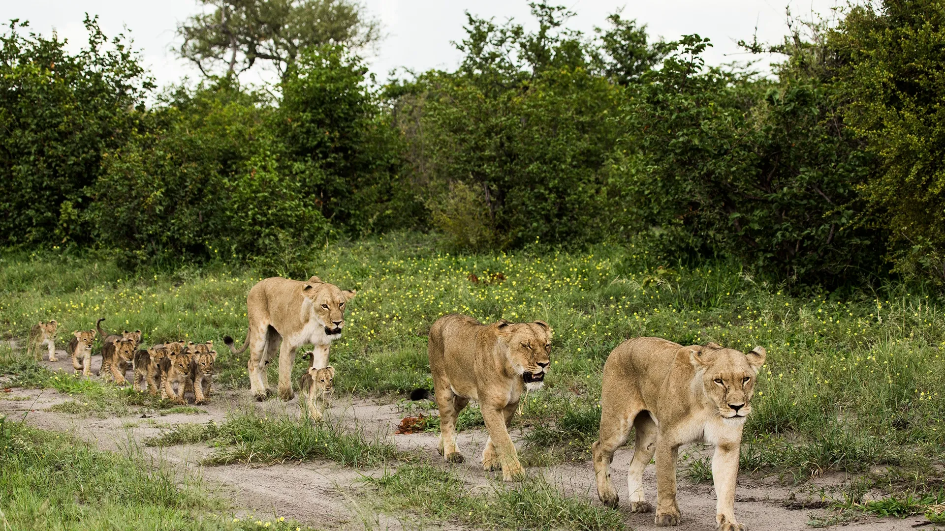 thumbnail - S2:B1 İçerideki Düşman