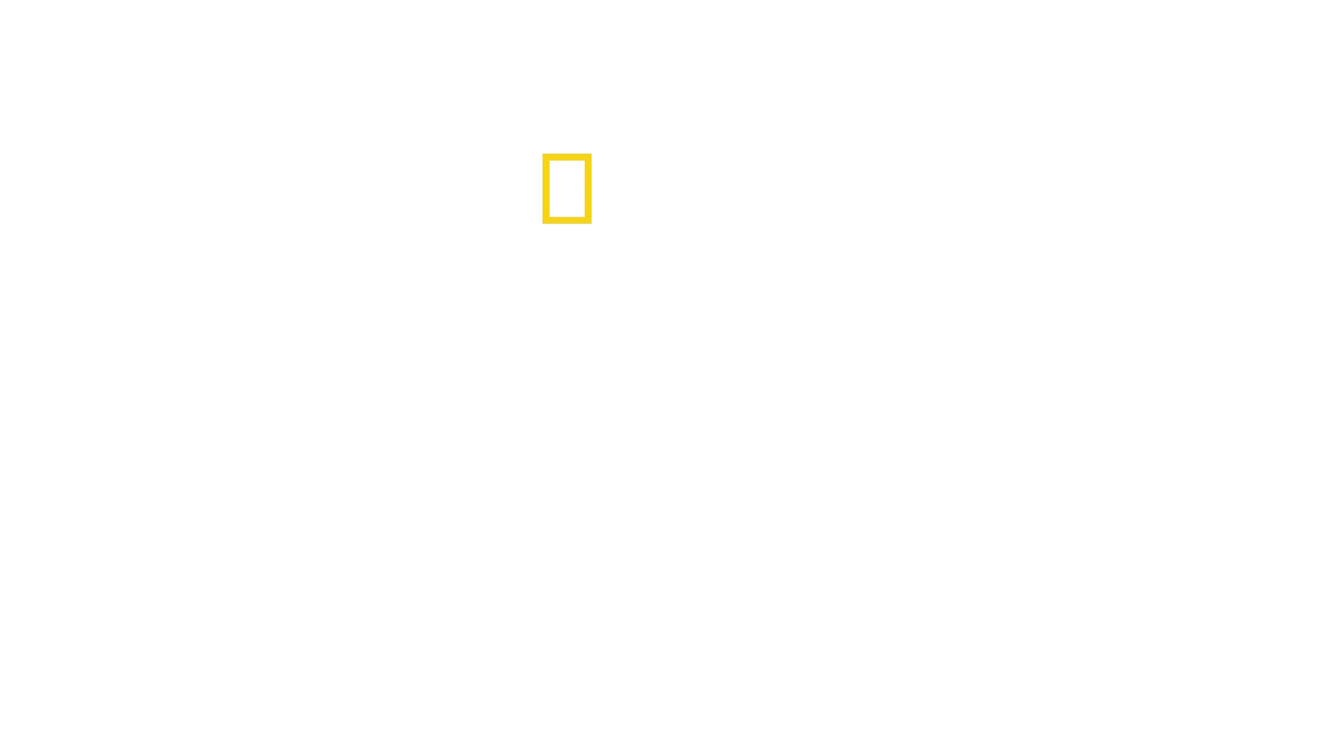 Escalando La Torre del Diablo