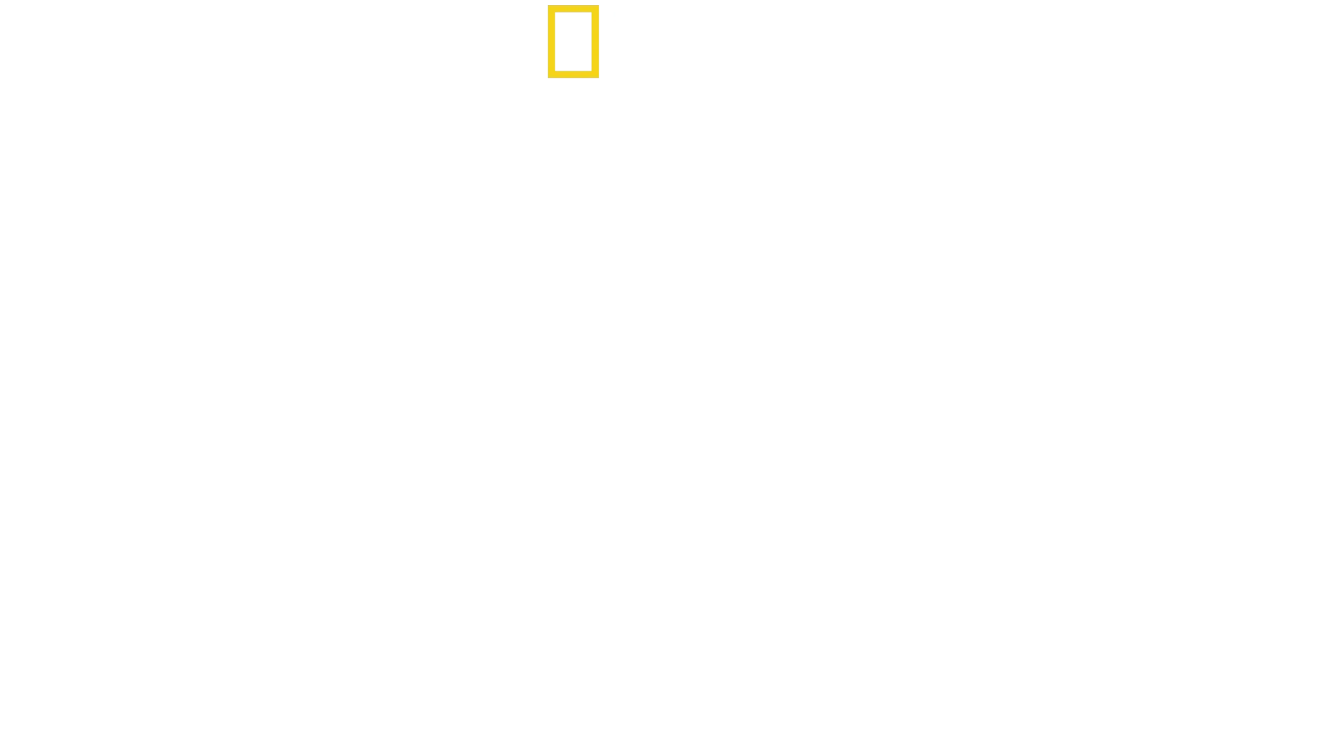Deadly Instincts