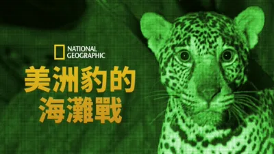 美洲豹的海灘戰