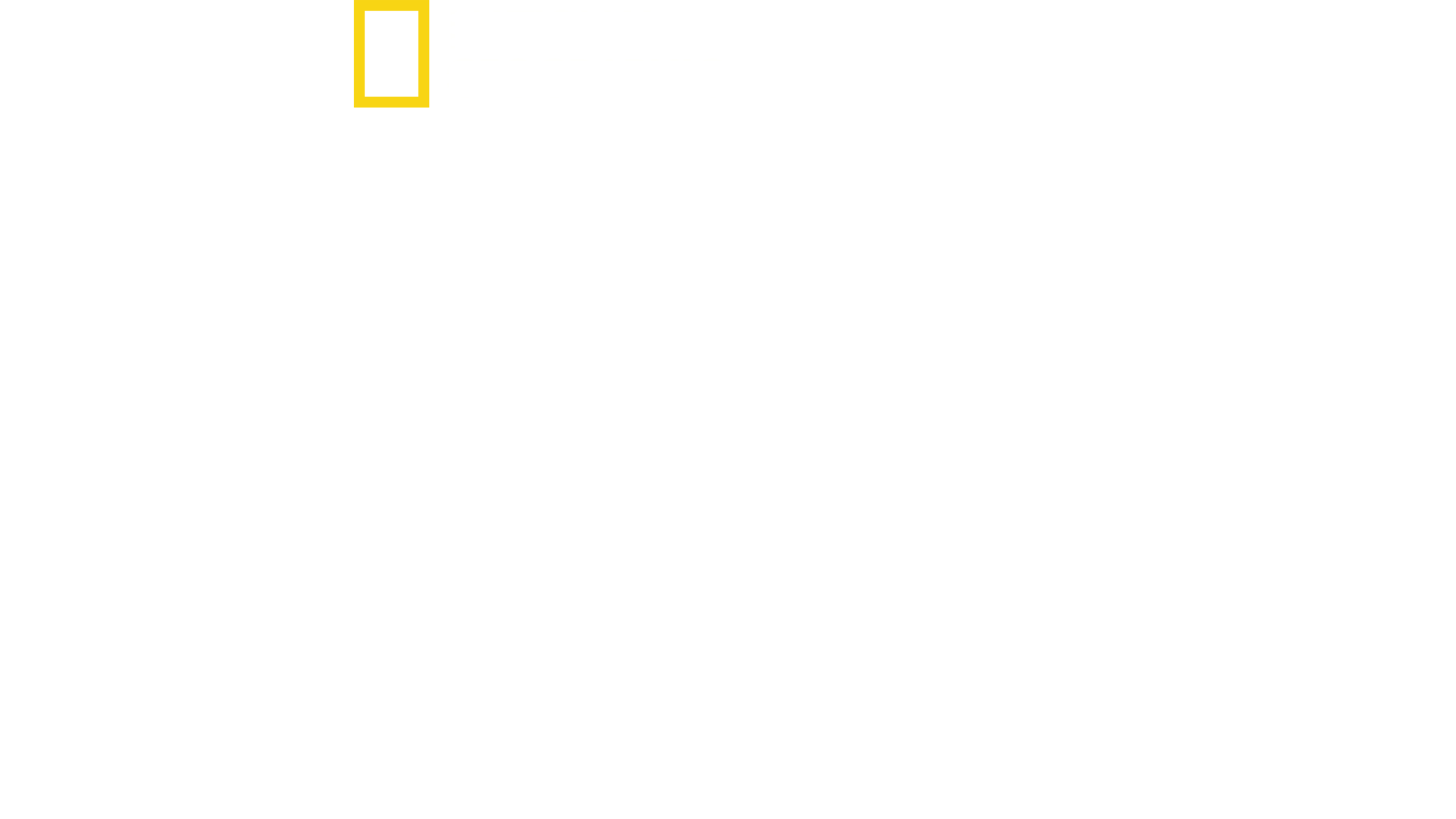 다 먹어치우는 상어