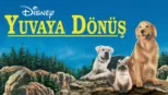thumbnail - Yuvaya Dönüş