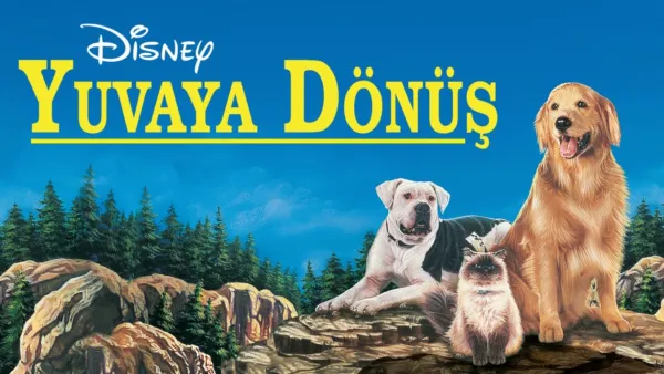 thumbnail - Yuvaya Dönüş