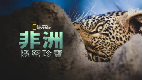 thumbnail - 非洲隱密珍寶