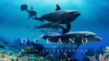 thumbnail - Oceano com David Attenborough