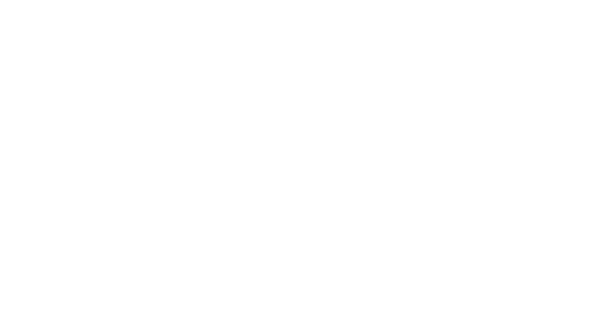 2016 Women's Final: Kerber vs. S. Williams