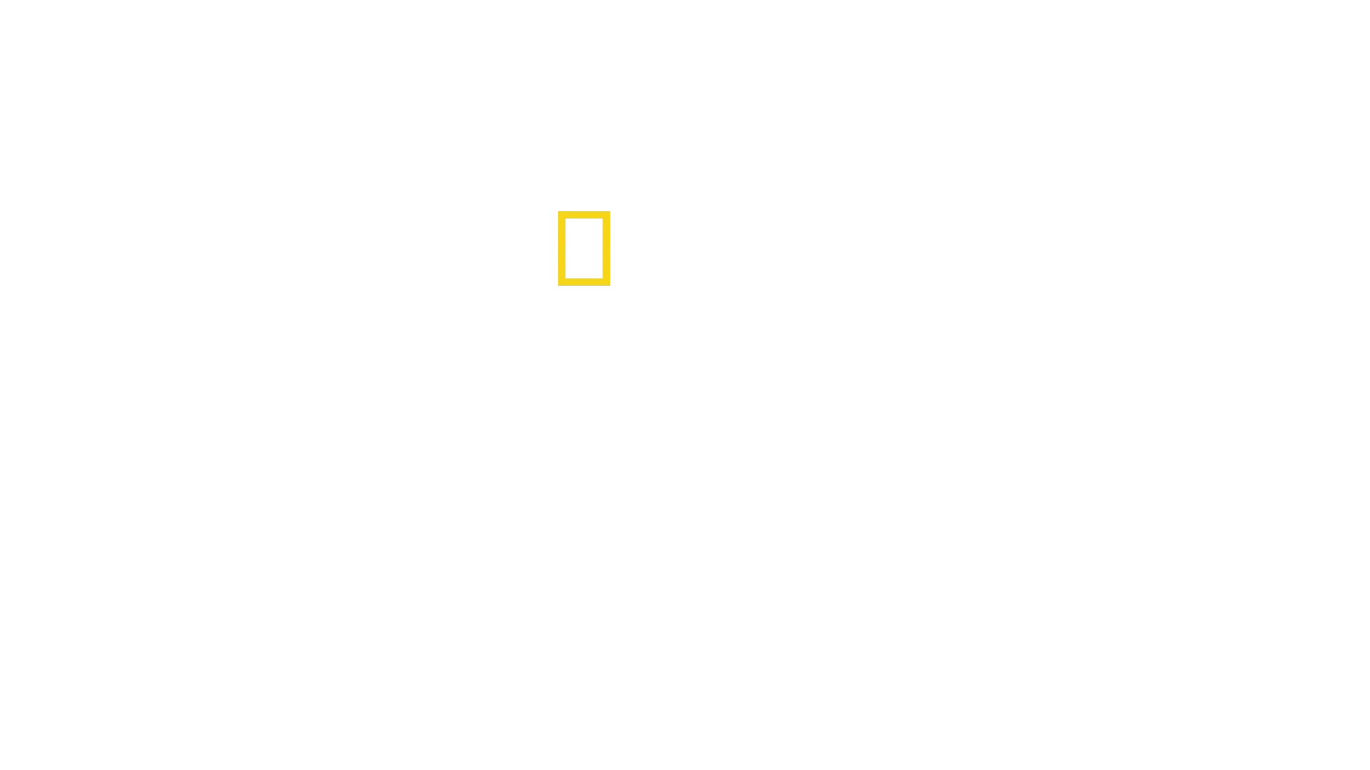 Trafficked: Underworlds with Mariana van Zeller