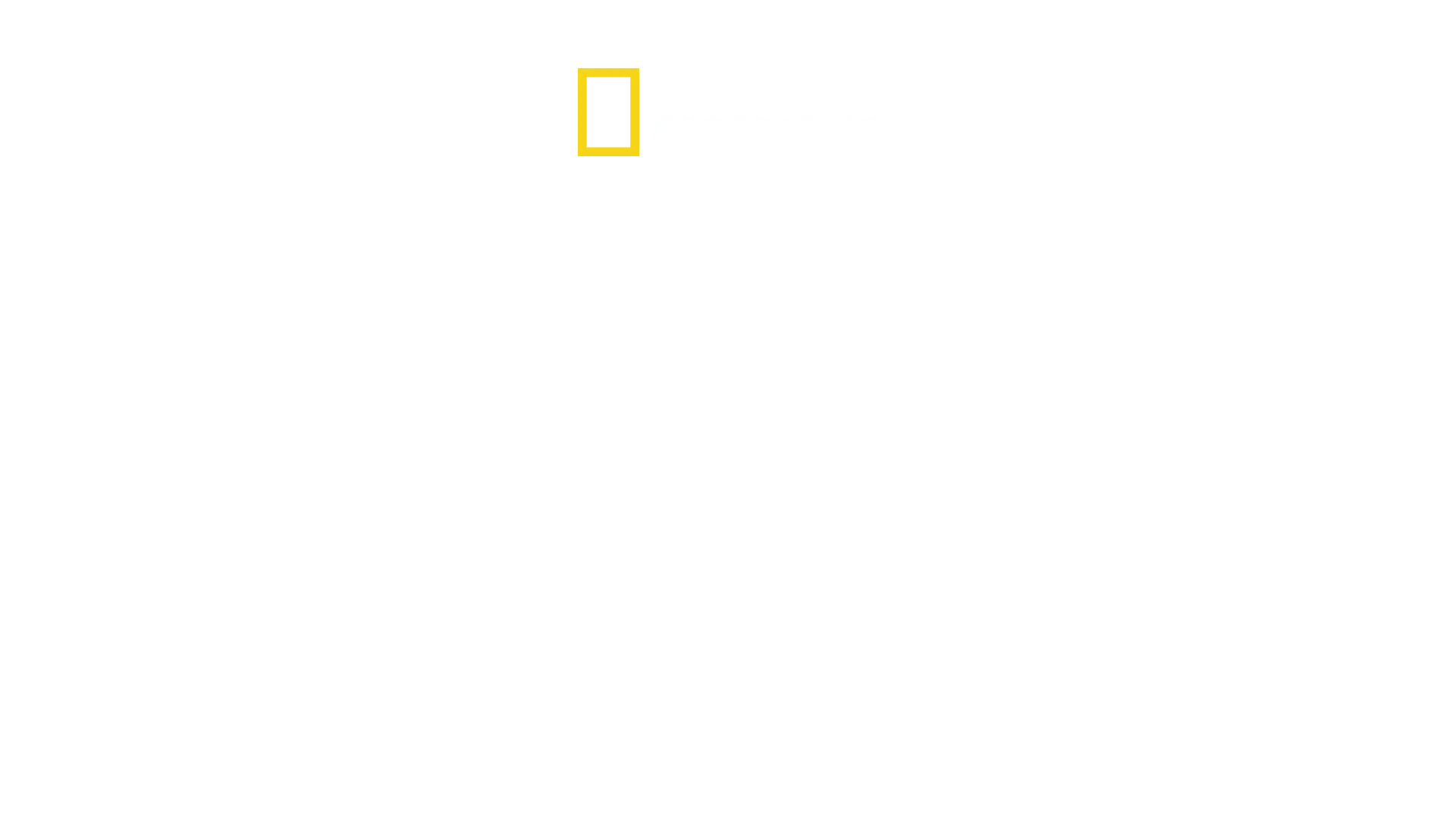 La dinastia Kim