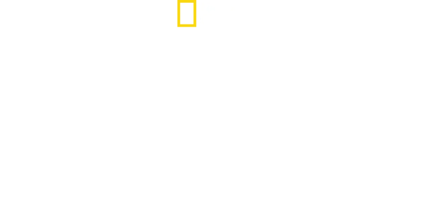 La dinastia Kim