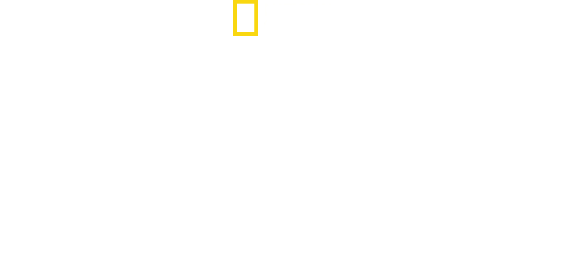 La dinastia Kim