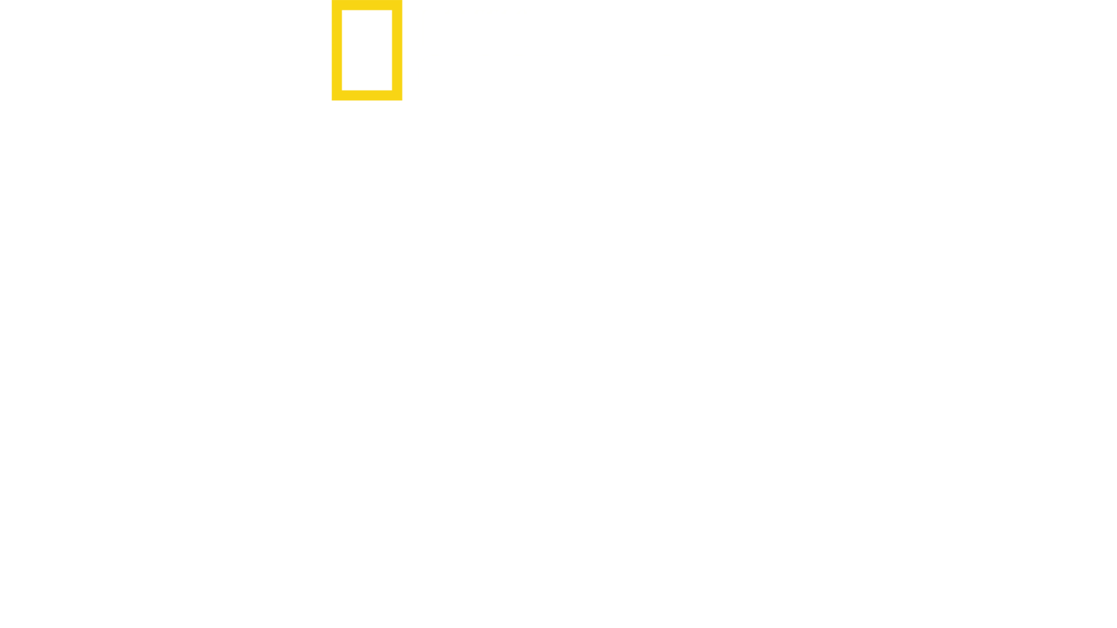 Złapać przemytnika